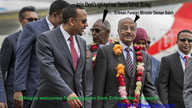 Ethiopia welcomes 1st delegation from Eritrea in 20 years